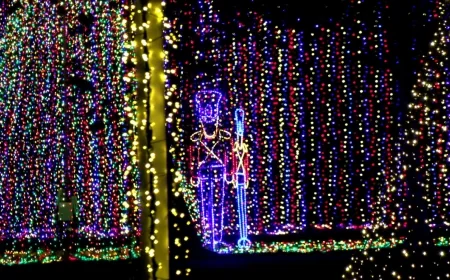 Millions of lights and countless traditions: Illuminate Light Show opens in Doswell