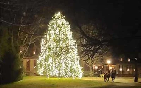 2025 Community Christmas Tree Lighting in Colonial Williamsburg – Free & Open to the Public