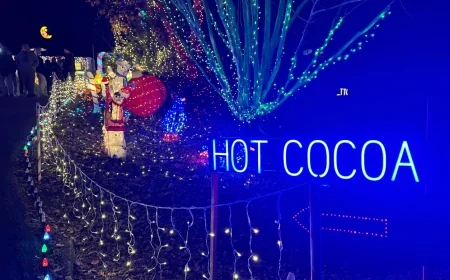 Chesterfield family’s holiday light display supports local autism community