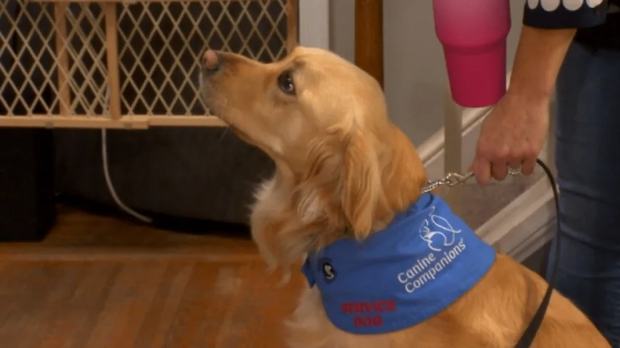 Parents make plea to Hanover school board to reverse decision on service animal handler