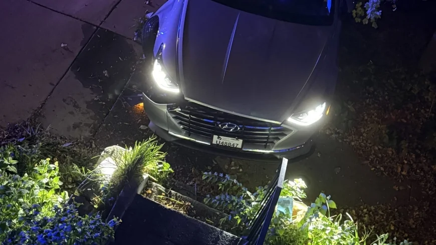 VIDEO: Richmond resident watches driver crash stolen car into her porch