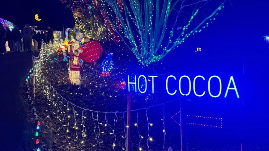 Chesterfield family’s holiday light display supports local autism community