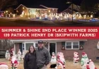 2nd Place Winner of 2025 Shimmer & Shine Holiday Lights Contest: 139 Patrick Henry Dr
