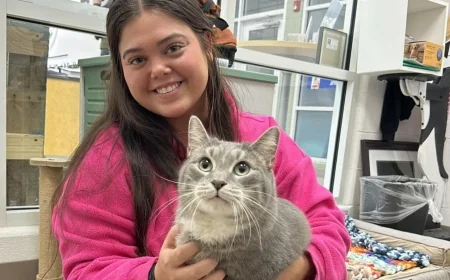 Goochland’s 19-pound cat adopted after he made it onto 8News