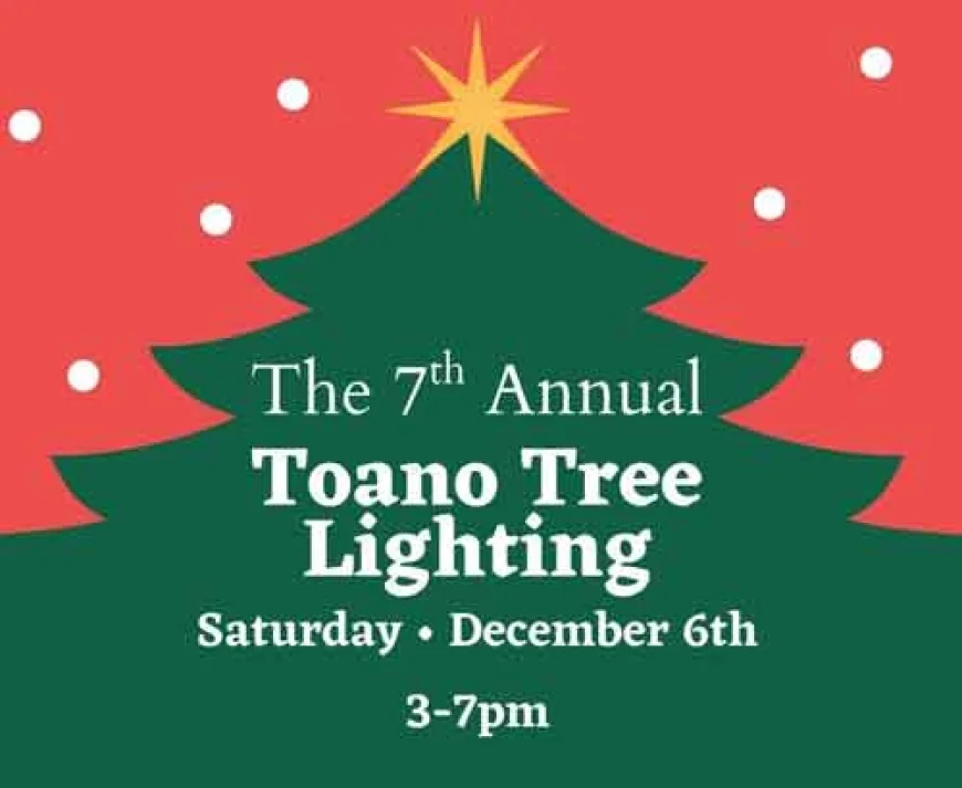 Toano Christmas Tree Lighting