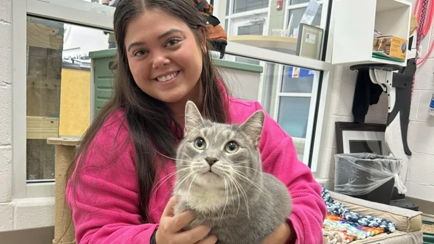 Goochland’s 19-pound cat adopted after he made it onto 8News