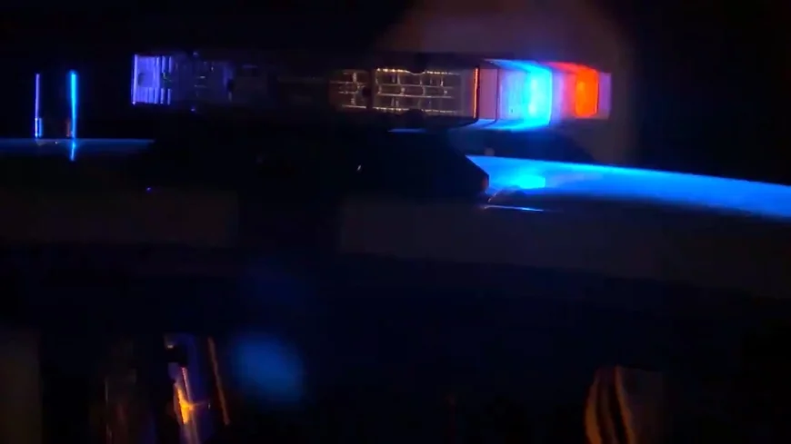 Former Henrico teacher charged with sexually abusing her dog pleads guilty, will serve no jail time