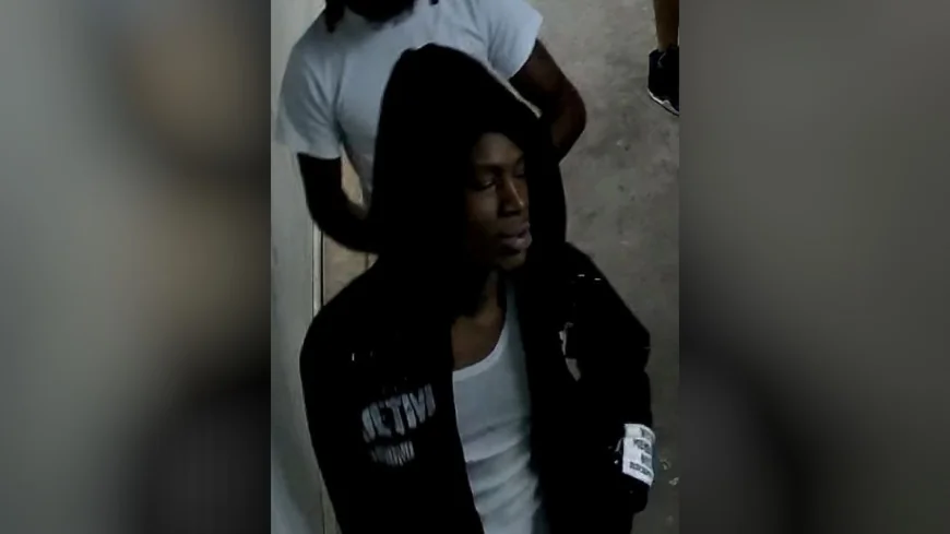 Police search for person of interest involved in alleged armed robbery of Henrico business