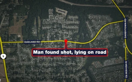 Man dies after being found shot, lying on road in Henrico County