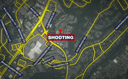 Person detained after domestic-related Albemarle shooting that critically injured one woman