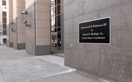 Virginia Democratic official pleads not guilty to distributing child sexual abuse material