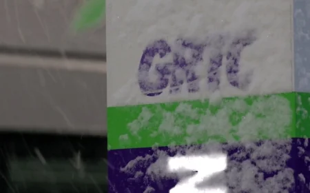 GRTC suspends all bus services on Monday after winter storm