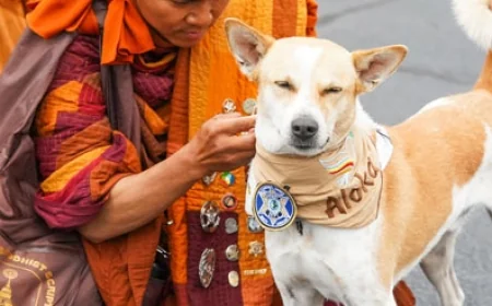 Walk for Peace – 2,300 mile walk for Mindfulness and Compassion is walking by our area