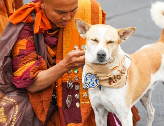 Walk for Peace – 2,300 mile walk for Mindfulness and Compassion is walking by our area