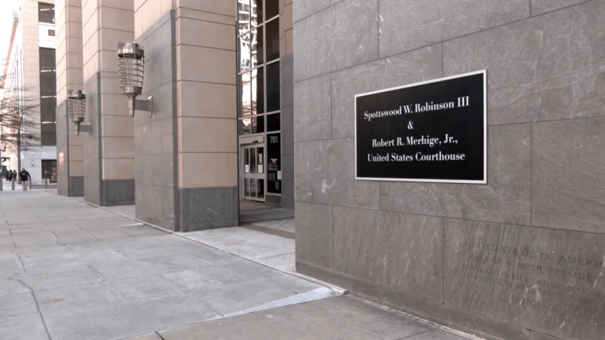 Virginia Democratic official pleads not guilty to distributing child sexual abuse material