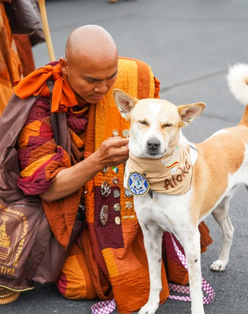 Walk for Peace – 2,300 mile walk for Mindfulness and Compassion is walking by our area