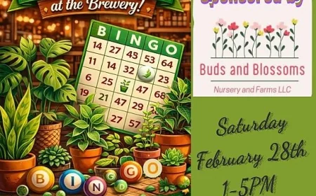 On Saturday, February 28, 2026 at 01:00 pm - BUGGS ISLAND BREWING: Plant Bingo at Buggs Island Brewing