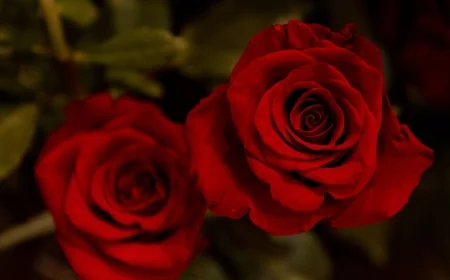 Craft gothic Valentine’s cards at the Poe Museum on Friday the 13th