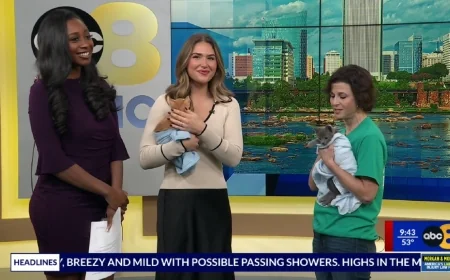 8News talks with Henrico Humane Society ahead of 25th annual Pet Expo