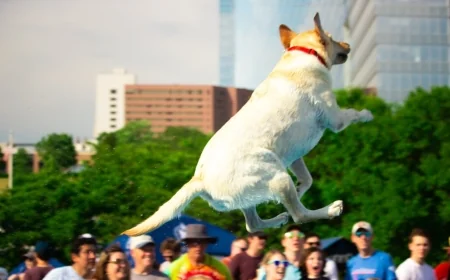 Dominion Energy Riverrock announces music lineup, venue change for 2026