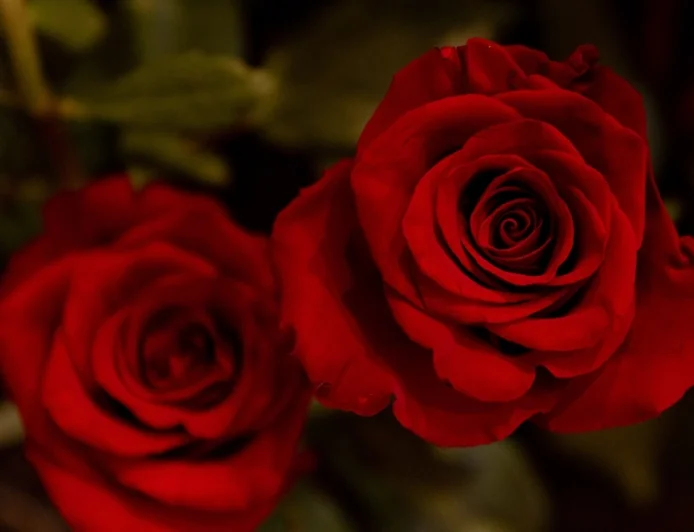 Craft gothic Valentine’s cards at the Poe Museum on Friday the 13th