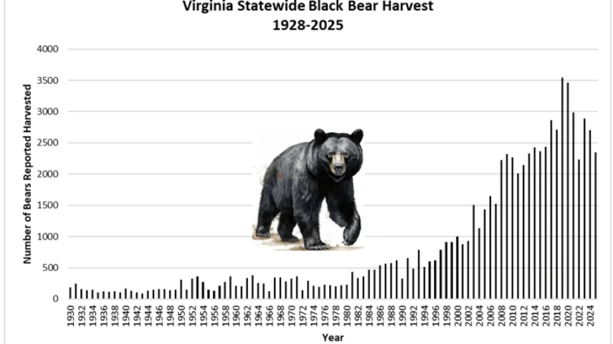 Deer harvests increase as bear, turkey harvests trend down in Virginia