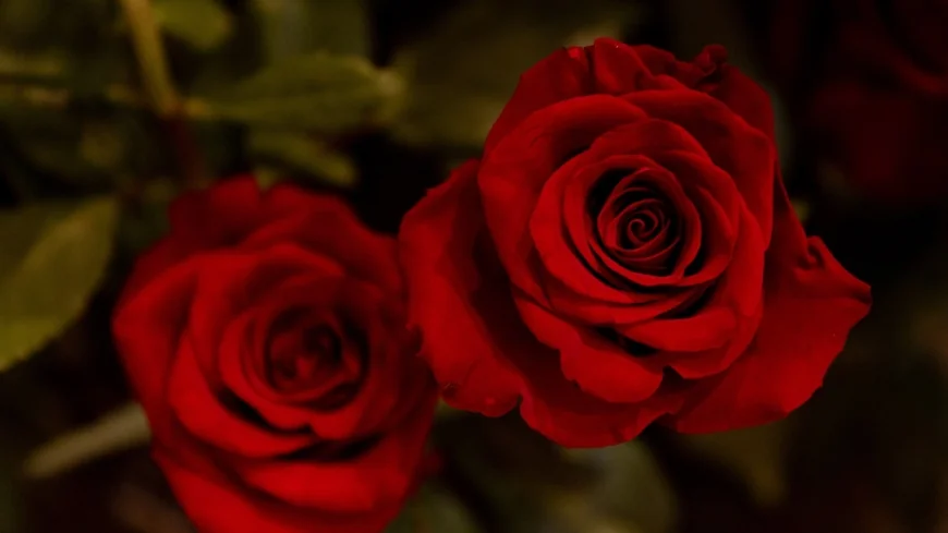 Craft gothic Valentine’s cards at the Poe Museum on Friday the 13th