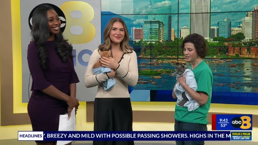 8News talks with Henrico Humane Society ahead of 25th annual Pet Expo