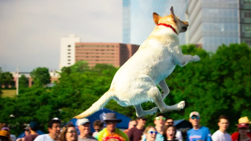 Dominion Energy Riverrock announces music lineup, venue change for 2026