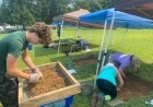 The 2026 Public Archaeology Institute (PAI) – Summer Archaeology Camp for Teens at Colonial Williamsburg – deadline for application March 31, 2026