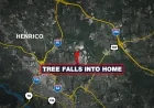 Tree falls into Henrico home during severe storms, causing significant damage