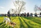 ALX Dog Walk Returns April 18 in Alexandria