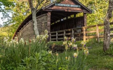 Springtime in the Alleghany Highlands: An April Visit Worth Slowing Down For
