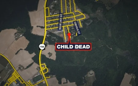 New details in Prince George toddler killing