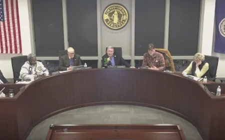 ‘I would have whipped your a–, son’: Louisa board, resident spar over $1 billion power line project usage