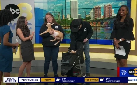 8News learns all things goat with Choose Joy Farm