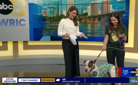 Richmond SPCA to host 24th annual Dog Jog, 5K and Block Party