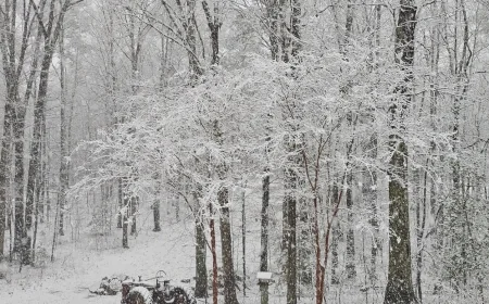 ‘Pretty wild’: Central Virginians get weather whiplash as snow falls after record-high temperatures