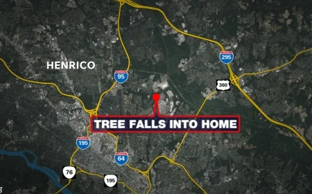 Tree falls into Henrico home during severe storms, causing significant damage