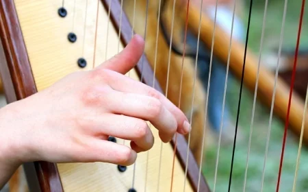 GreenSpring Harp Ensemble to hold free ‘Celtic Celebration’ concert in Chesterfield