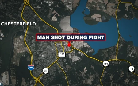 Man shot during fight in Hopewell, suspect in custody