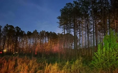 Burn barrel sparks two-to-three-acre brush fire in Prince George County, officials say