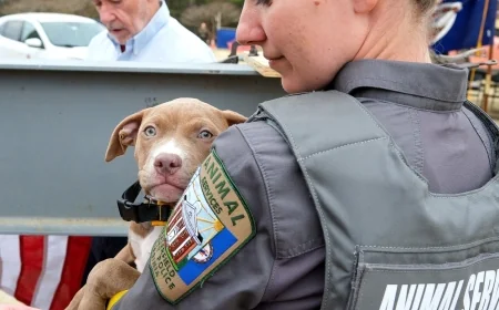 Chesterfield marks major milestone on new-and-improved animal shelter