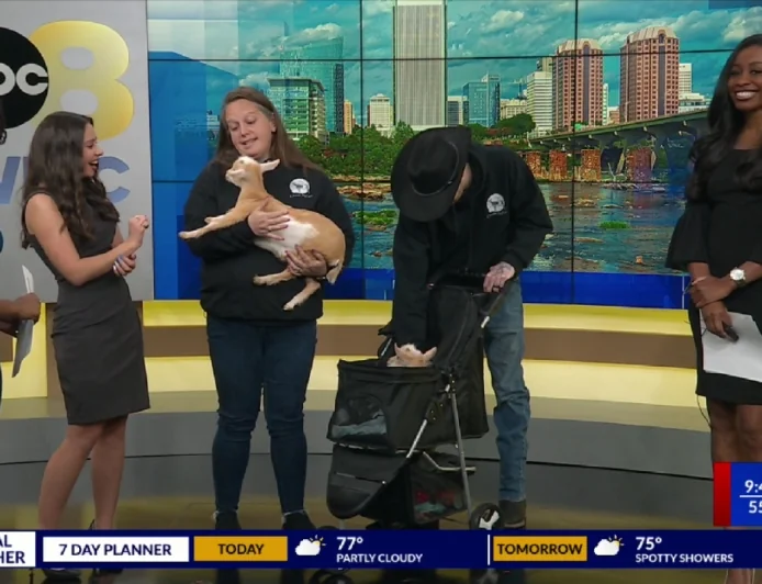 8News learns all things goat with Choose Joy Farm