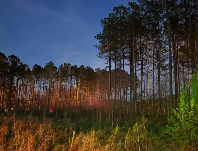 Burn barrel sparks two-to-three-acre brush fire in Prince George County, officials say