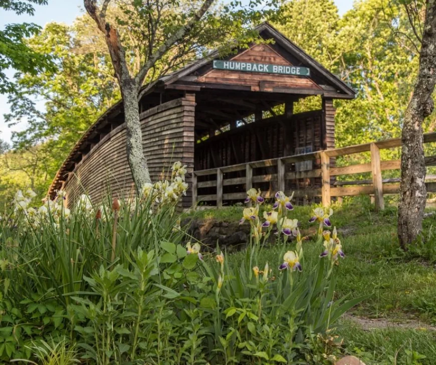 Springtime in the Alleghany Highlands: An April Visit Worth Slowing Down For