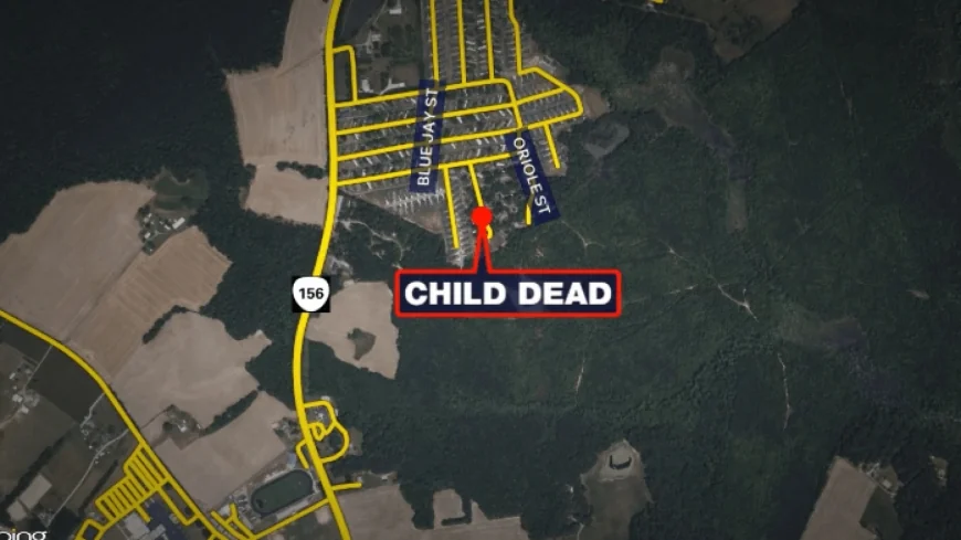 New details in Prince George toddler killing