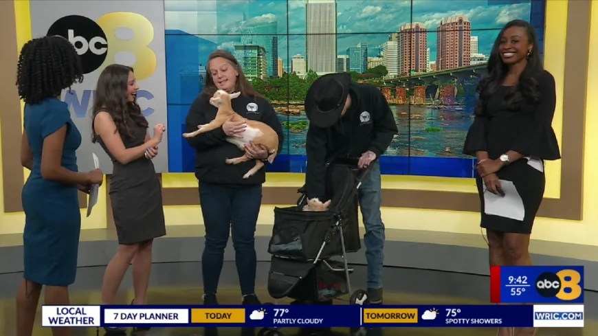 8News learns all things goat with Choose Joy Farm