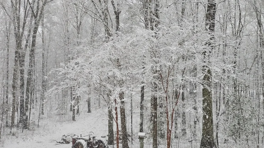 ‘Pretty wild’: Central Virginians get weather whiplash as snow falls after record-high temperatures