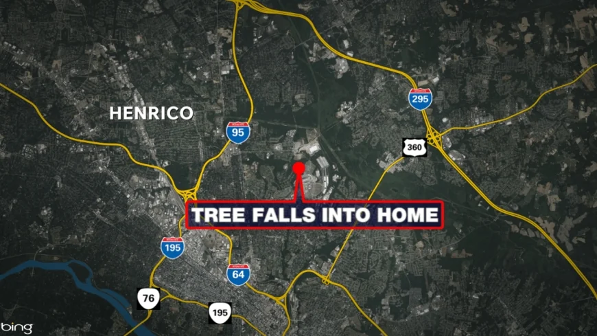 Tree falls into Henrico home during severe storms, causing significant damage